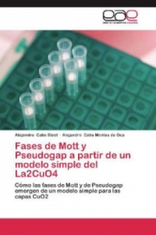 Książka Fases de Mott y Pseudogap a partir de un modelo simple del La2CuO4 Alejandro Cabo Bizet