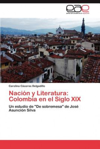 Kniha Nacion y Literatura Carolina Cáceres Delgadillo