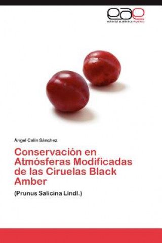 Knjiga Conservacion en Atmosferas Modificadas de las Ciruelas Black Amber Ángel Calín Sánchez