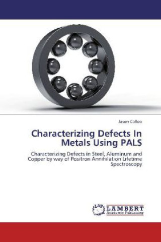 Kniha Characterizing Defects In Metals Using PALS Jason Calloo