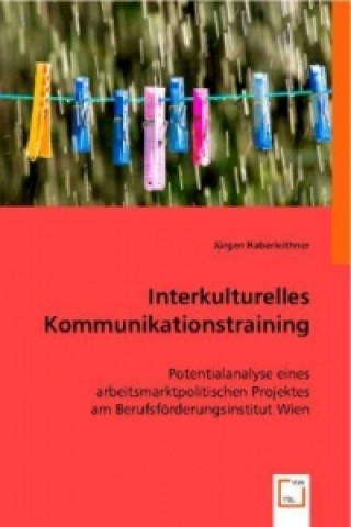 Kniha Interkulturelles Kommunikationstraining Jürgen Haberleithner