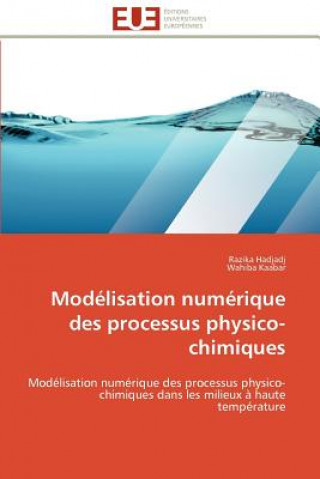 Könyv Modelisation numerique des processus physico-chimiques Razika Hadjadj