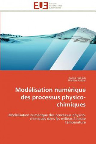 Buch Modelisation numerique des processus physico-chimiques Razika Hadjadj