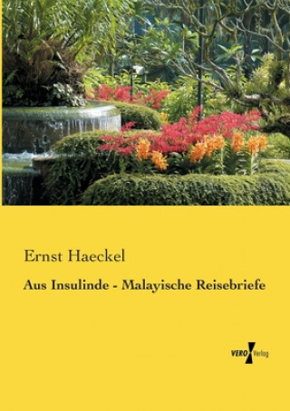 Kniha Aus Insulinde - Malayische Reisebriefe Ernst Haeckel