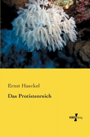 Könyv Protistenreich Ernst Haeckel