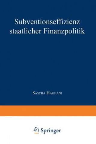 Könyv Subventionseffizienz Staatlicher Finanzpolitik Sascha Haghani