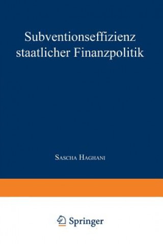 Książka Subventionseffizienz Staatlicher Finanzpolitik Sascha Haghani