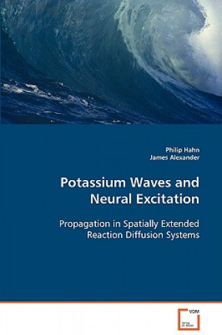 Könyv Potassium Waves and Neural Excitation Philip Hahn