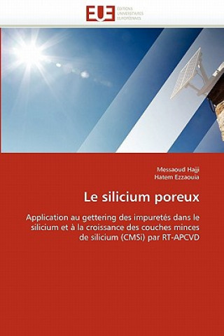 Buch Silicium Poreux Messaoud Hajji