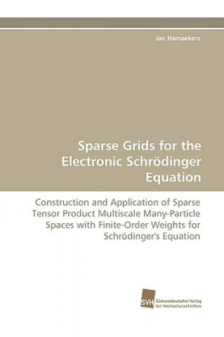 Carte Sparse Grids for the Electronic Schroedinger Equation Jan Hamaekers