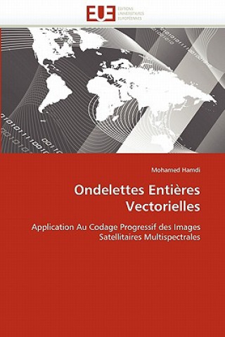 Livre Ondelettes entieres vectorielles Mohamed Hamdi