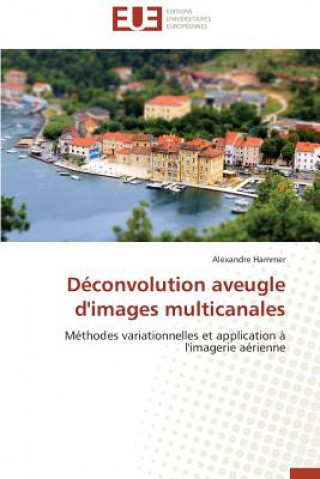 Knjiga D convolution Aveugle d'Images Multicanales Alexandre Hammer