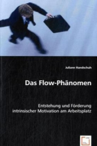 Knjiga Das Flow-Phänomen Juliane Handschuh