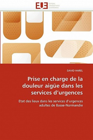Kniha Prise En Charge de la Douleur Aig e Dans Les Services d''urgences David Harel