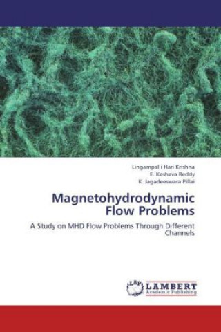 Kniha Magnetohydrodynamic Flow Problems Lingampalli Hari Krishna