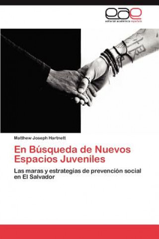 Book Busqueda de Nuevos Espacios Juveniles Matthew Joseph Hartnett