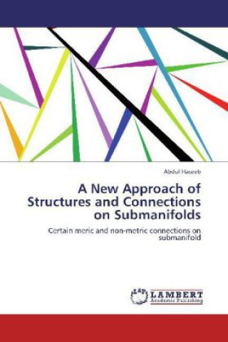 Könyv New Approach of Structures and Connections on Submanifolds Abdul Haseeb