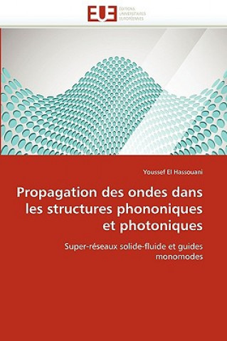 Książka Propagation Des Ondes Dans Les Structures Phononiques Et Photoniques Youssef El Hassouani