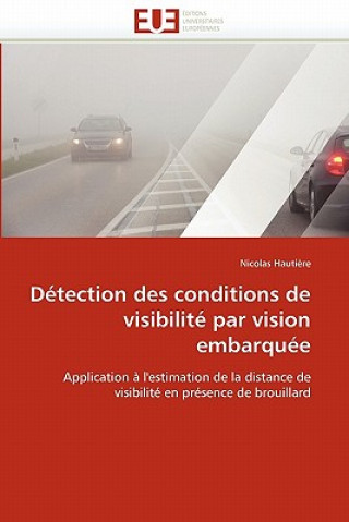 Carte D tection Des Conditions de Visibilit  Par Vision Embarqu e Hautiere-N
