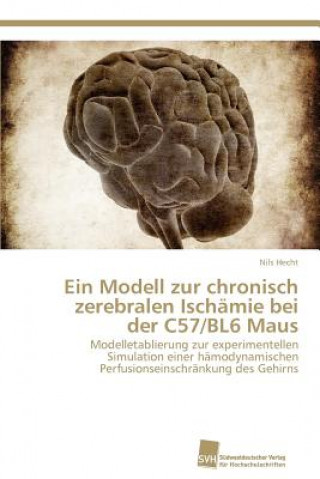 Buch Modell zur chronisch zerebralen Ischamie bei der C57/BL6 Maus Nils Hecht