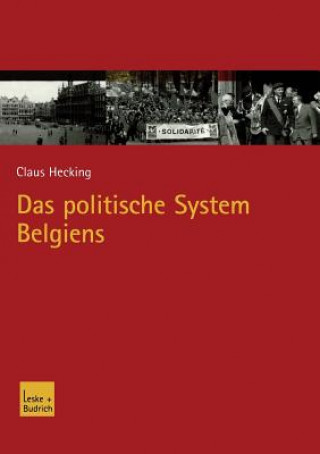 Buch Das Politische System Belgiens Claus Hecking