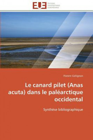 Könyv Le Canard Pilet (Anas Acuta) Dans Le Pal arctique Occidental Florent Collignon