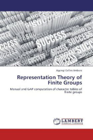 Carte Representation Theory of Finite Groups Agyingi Collins Amburo
