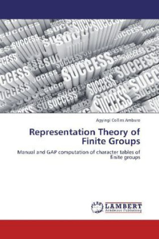 Kniha Representation Theory of Finite Groups Agyingi Collins Amburo