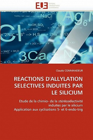 Kniha Reactions d''allylation Selectives Induites Par Le Silicium Claude Commandeur