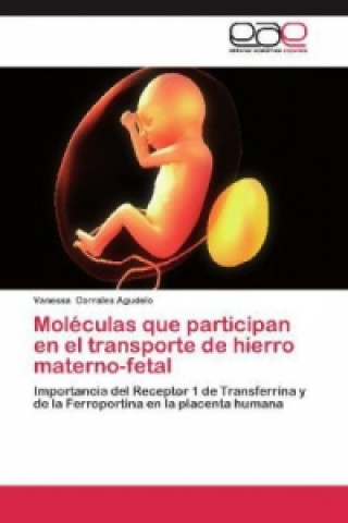 Książka Moléculas que participan en el transporte de hierro materno-fetal Vanessa Corrales Agudelo