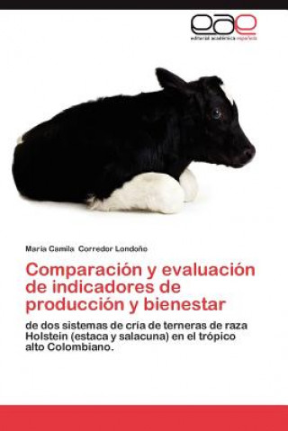 Buch Comparacion y evaluacion de indicadores de produccion y bienestar Corredor Londono Maria Camila