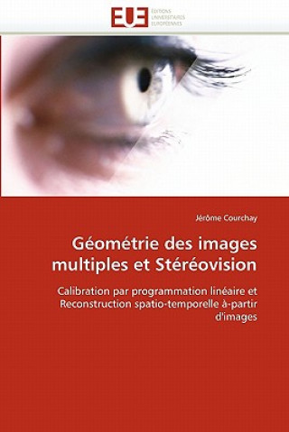 Buch Geometrie des images multiples et stereovision Jérôme Courchay