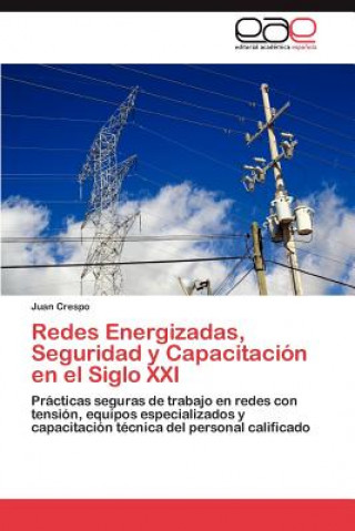 Książka Redes Energizadas, Seguridad y Capacitacion En El Siglo XXI Juan Crespo