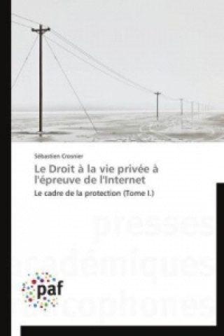Book Le Droit ? la vie privée ? l'épreuve de l'Internet Sébastien Crosnier