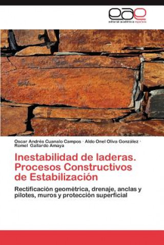 Carte Inestabilidad de Laderas. Procesos Constructivos de Estabilizacion Oscar Andrés Cuanalo Campos