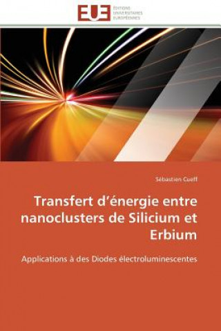 Book Transfert D  nergie Entre Nanoclusters de Silicium Et Erbium Sébastien Cueff