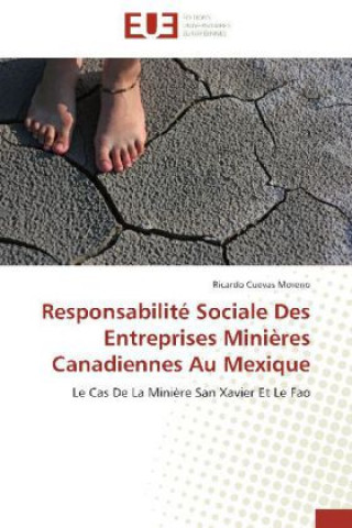 Libro Responsabilité Sociale Des Entreprises Minières Canadiennes Au Mexique Ricardo Cuevas Moreno