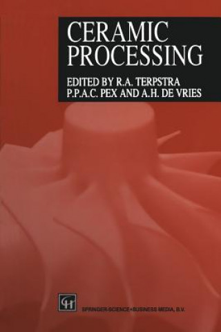 Kniha Ceramic Processing Andre De Vries