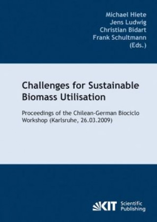 Kniha Challenges for sustainable biomass utilisation Michael Hiete