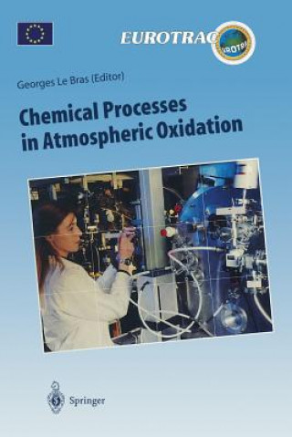 Kniha Chemical Processes in Atmospheric Oxidation Georges Le Bras