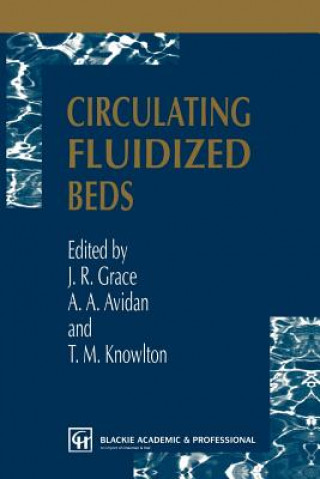 Kniha Circulating Fluidized Beds A. A. Avidan