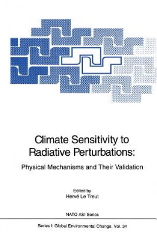 Könyv Climate Sensitivity to Radiative Perturbations Herve Letreut