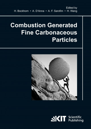 Könyv Combustion generated fine carbonaceous particles Andrea D'Anna