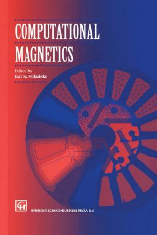 Knjiga Computational Magnetics J. Sykulski