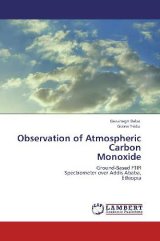 Könyv Observation of Atmospheric Carbon Monoxide Gezahegn Daba