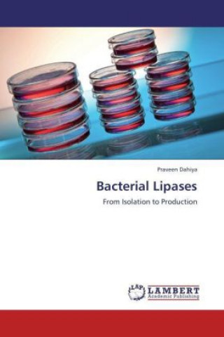 Könyv Bacterial Lipases Praveen Dahiya