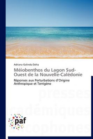 Kniha Meiobenthos Du Lagon Sud-Ouest de la Nouvelle-Caledonie Adriana Galindo Dalto