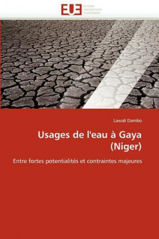 Könyv Usages de l'eau a gaya (niger) Lawali Dambo