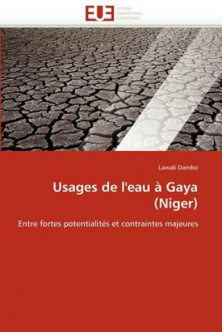 Carte Usages de l'eau a gaya (niger) Lawali Dambo