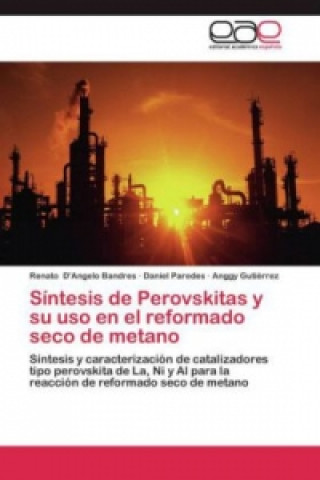 Carte Sintesis de Perovskitas y su uso en el reformado seco de metano Renato D'Angelo Bandres